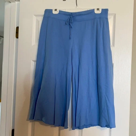 Gap Baby Blue Elastic Waist Wide Leg Capri - Picture 1 of 5